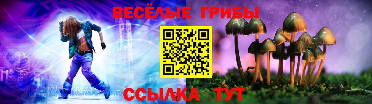 Псилоцибиновые грибы Cubensis Артёмовский